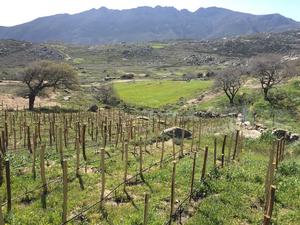 Domaine de Kalathas