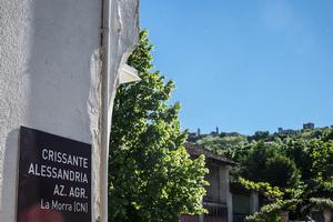 Crissante Alessandria