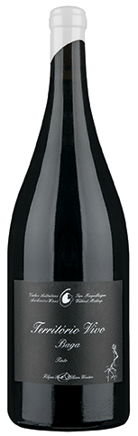 Território Vivo DOC Bairrada Magnum