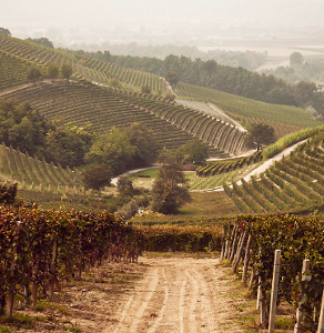 Sant`Or Winery